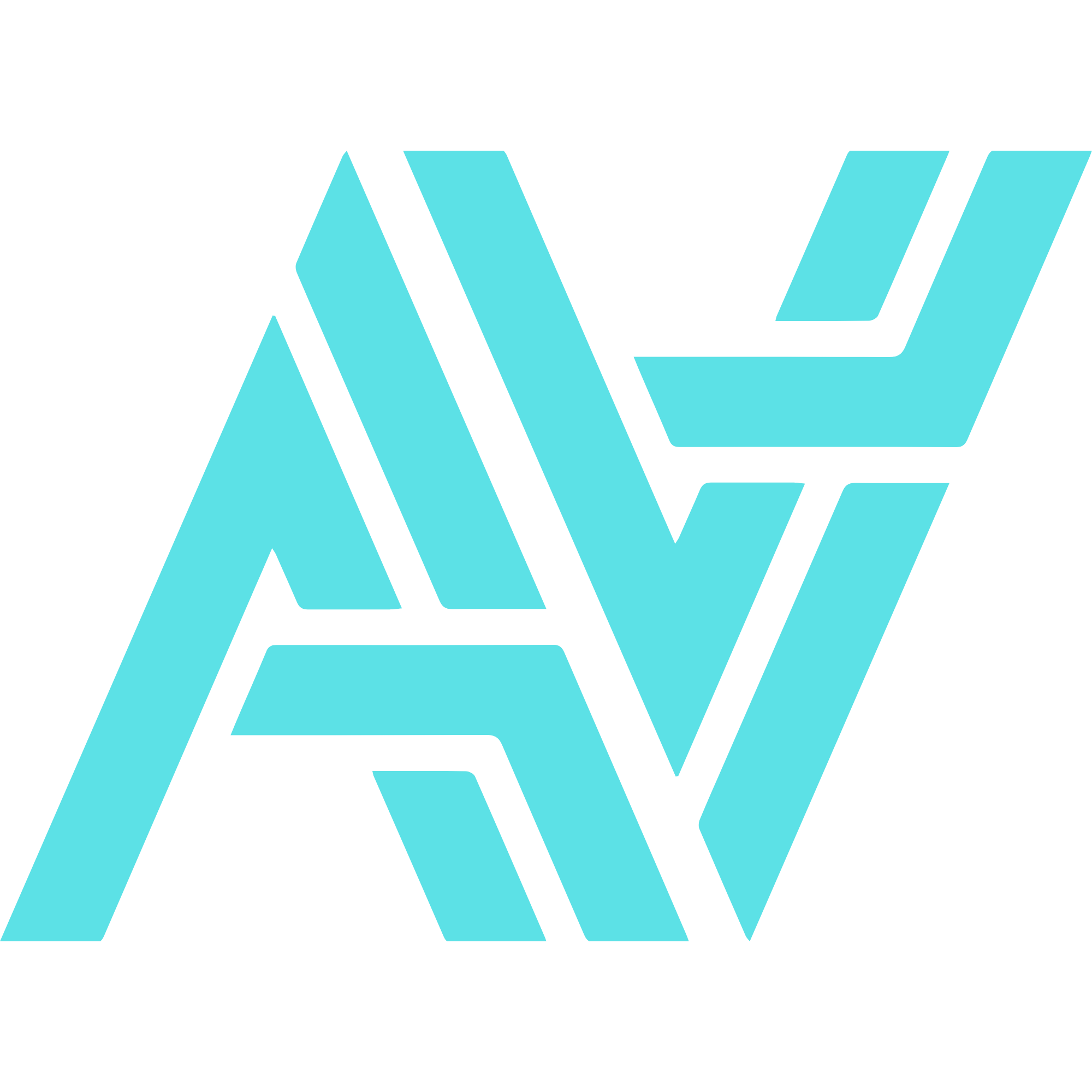 Arena Vision Cricket logo